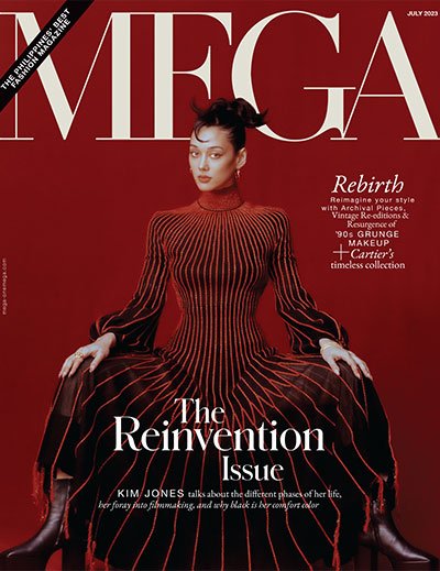 MEGA Kim Cover
